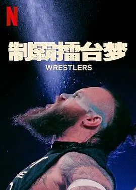 《制霸擂台梦 第一季》：热血格斗，燃爆青春！看少年如何一步步走向王者之路