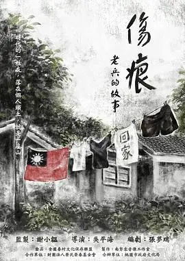 《伤痕——老兵的故事》：硝烟散尽，但战争的印记永不磨灭！一部震撼心灵的真实史诗，致敬每一位沉默的英雄