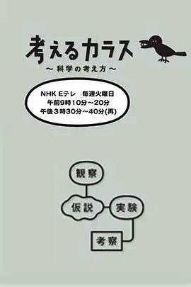 《像乌鸦一样思考》：颠覆想象的哲学思辨之旅，探讨生命与存在的深刻命题
