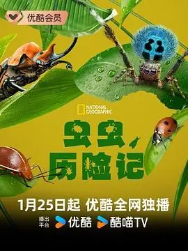 《虫虫历险记》：微观世界的奇幻冒险，小人物也能创造大奇迹！